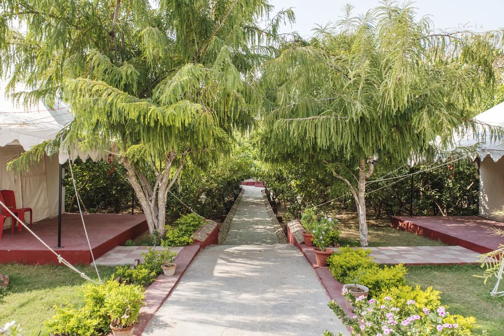 Ranthambhore National Resort Sawai Madhopur Luaran gambar